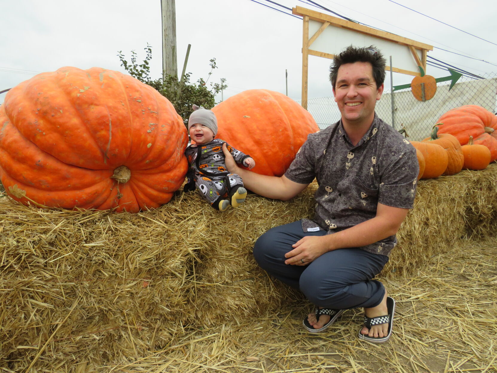 Picking Pumpkins 2022